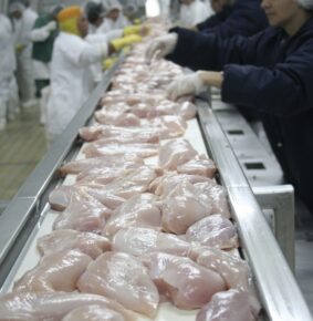 ABPA indica Brasil es un aliado importante para prevenir escasez de pollo y cerdo en República Dominicana